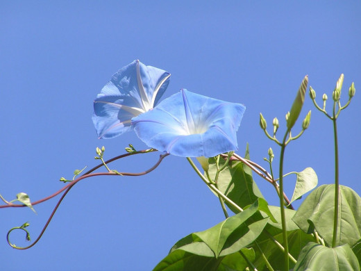 535757 (a): :1600x1200